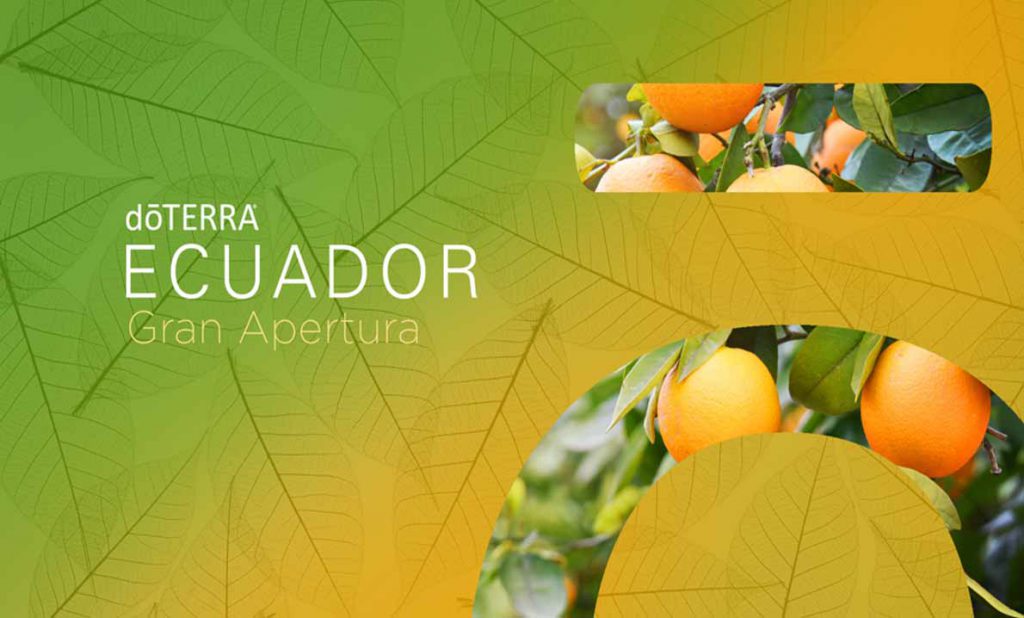 dōTERRA® ECUADOR: GUÍA DE PRODUCTOS, Procedimientos para el Distribuidor y Promociones